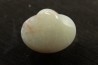 opalized bivalve:  Cyrenopsis australiensis - Aptian - Coober Pedy - Australia