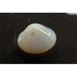 opalized bivalve:  Cyrenopsis australiensis - Aptian - Coober Pedy - Australia