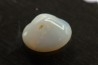 bivalve en opale: Cyrenopsis australiensis - Aptien - Coober Pedy - Australie