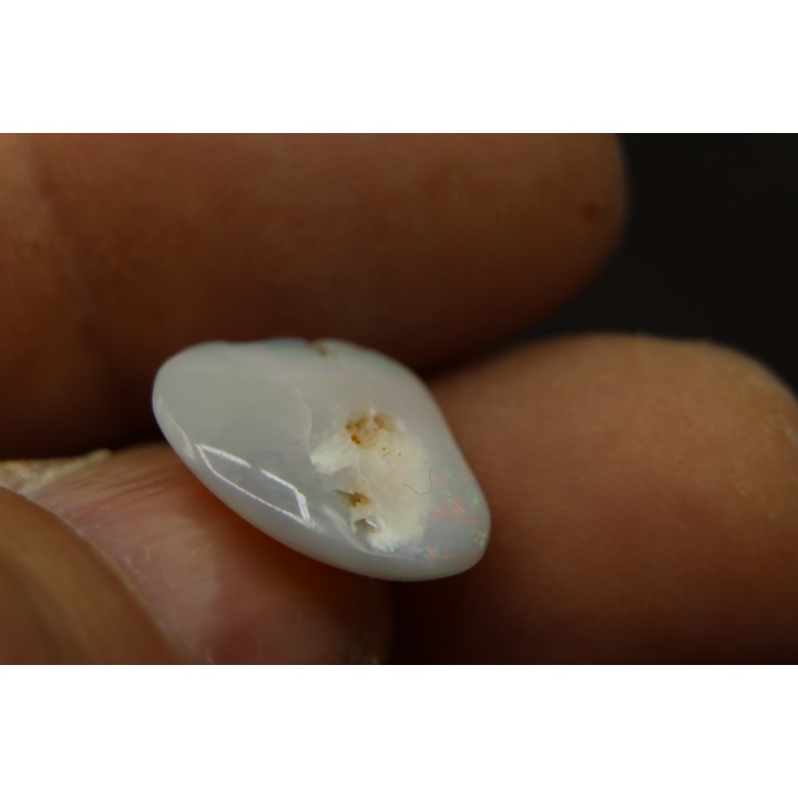 bivalve en opale:  Cyrenopsis australiensis - Aptien - Coober Pedy - Australie