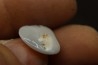 opalized bivalve:  Cyrenopsis australiensis - Aptian - Coober Pedy - Australia