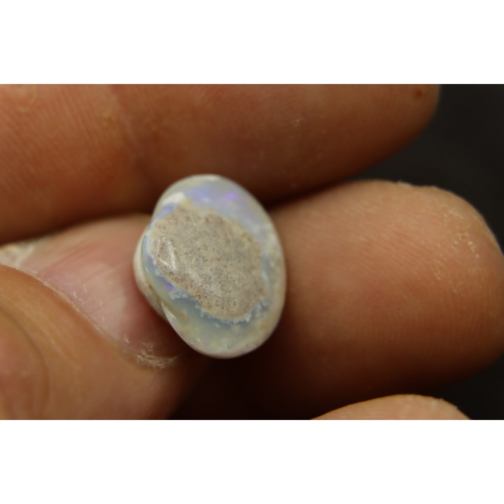 opalized bivalve:  Cyrenopsis australiensis - Aptian - Coober Pedy - Australia