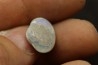 bivalve en opale: Cyrenopsis australiensis - Aptien - Coober Pedy - Australie