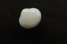 bivalve en opale: Cyrenopsis australiensis - Aptien - Coober Pedy - Australie