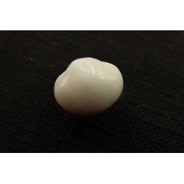 bivalve en opale:  Cyrenopsis australiensis - Aptien - Coober Pedy - Australie