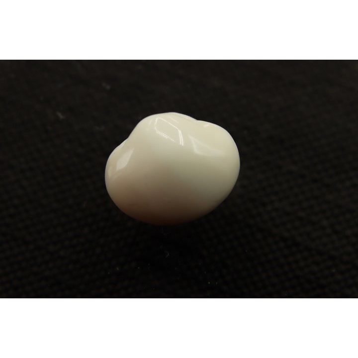 bivalve en opale:  Cyrenopsis australiensis - Aptien - Coober Pedy - Australie