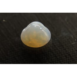 bivalve en opale:  Cyrenopsis australiensis - Aptien - Coober Pedy - Australie