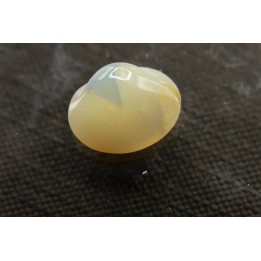 bivalve en opale:  Cyrenopsis australiensis - Aptien - Coober Pedy - Australie