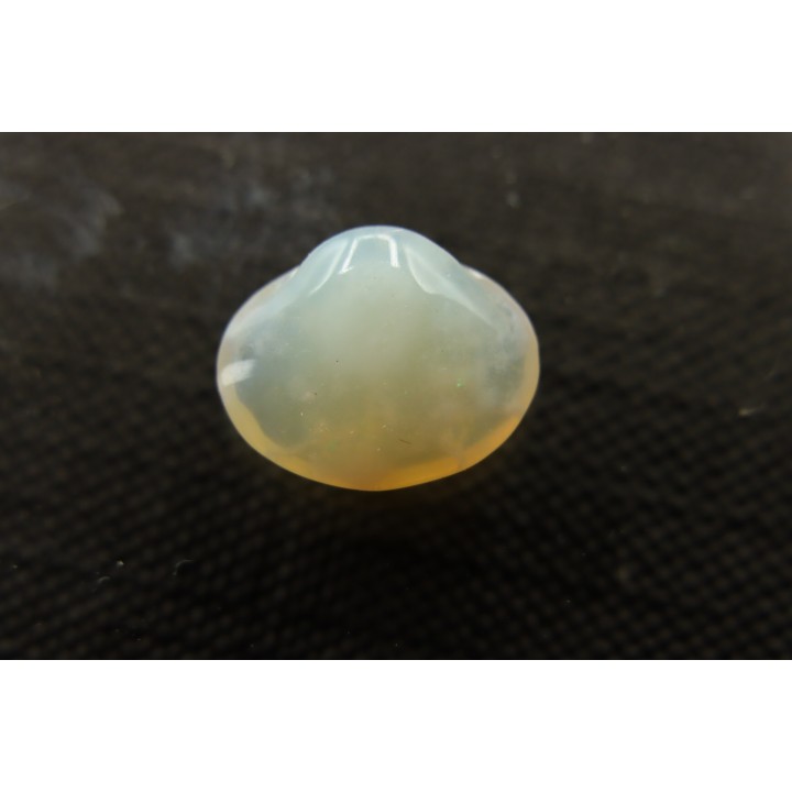 bivalve en opale:  Cyrenopsis australiensis - Aptien - Coober Pedy - Australie
