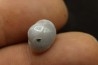 bivalve en opale: Cyrenopsis australiensis - Aptien - Coober Pedy - Australie