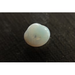 bivalve en opale:  Cyrenopsis australiensis - Aptien - Coober Pedy - Australie