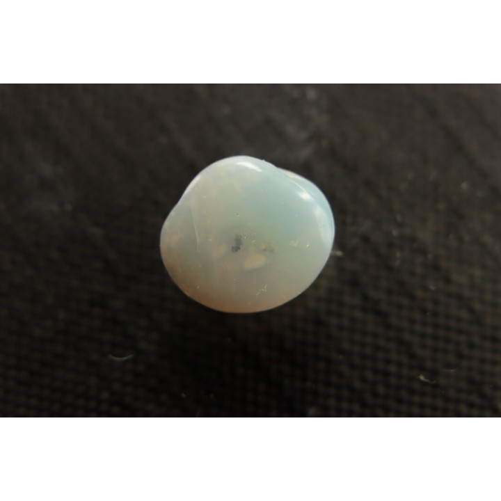 bivalve en opale:  Cyrenopsis australiensis - Aptien - Coober Pedy - Australie