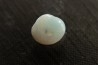 opalized bivalve: Cyrenopsis australiensis - Aptian - Coober Pedy - Australia