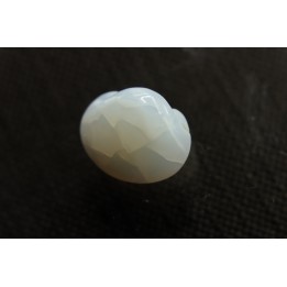 bivalve en opale:  Cyrenopsis australiensis - Aptien - Coober Pedy - Australie