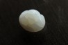bivalve en opale:  Cyrenopsis australiensis - Aptien - Coober Pedy - Australie