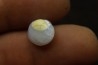 opalized bivalve: Cyrenopsis australiensis - Aptian - Coober Pedy - Australia
