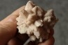 Pink Quartz - Aouli - Morocco