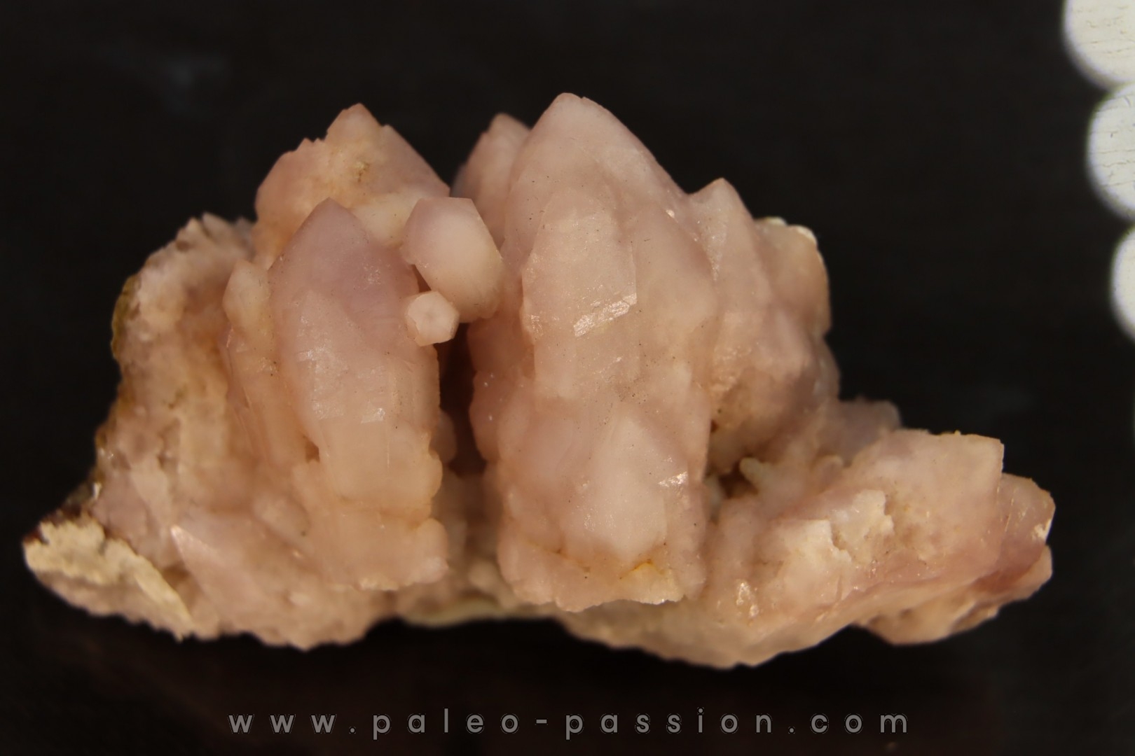 Quartz rose + amethyste - région d'Aouli, Maroc