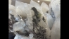 exceptionel quartz, sphalerite et calcite - bou azzer - Maroc