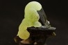 prehnite sur epidote - Diakon, Kayes, Mali