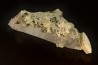 apatite and quartz - Panasqueira, Portugal