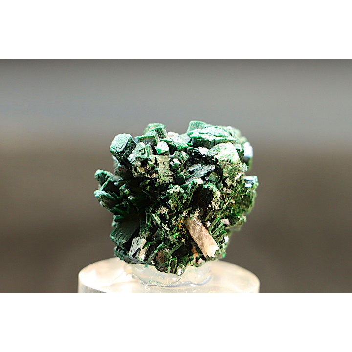 primary Malachite  Oumjrane mine, Morocco