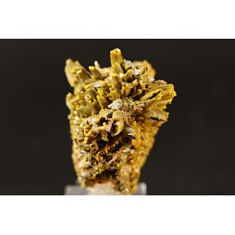 Pyromorphite "mustard touch"  Les Farges, FRANCE