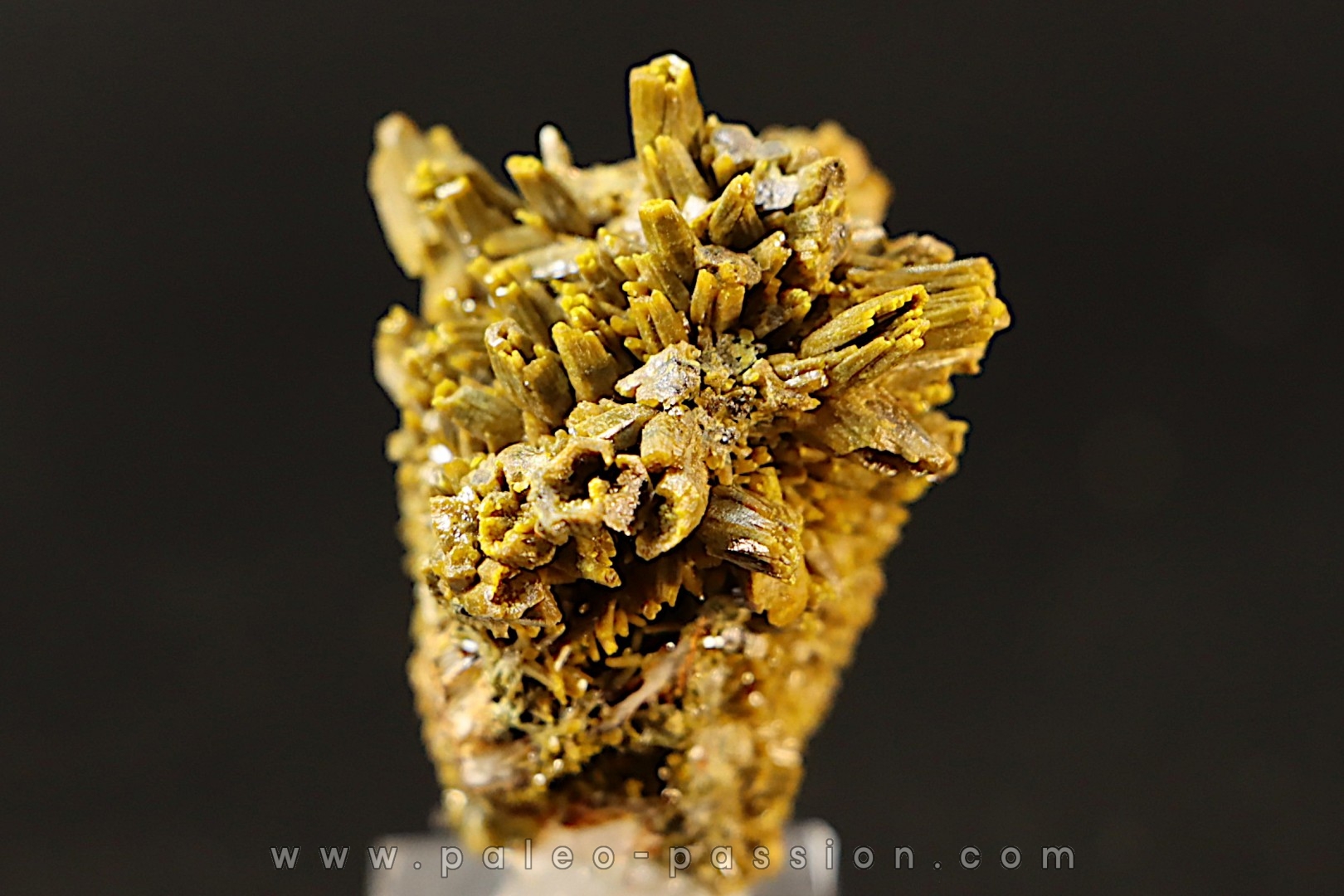 Pyromorphite "mustard touch" Les Farges, FRANCE