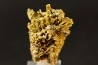 Pyromorphite "mustard touch" Les Farges, FRANCE