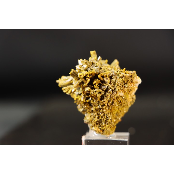 Pyromorphite "mustard touch"  Les Farges, FRANCE