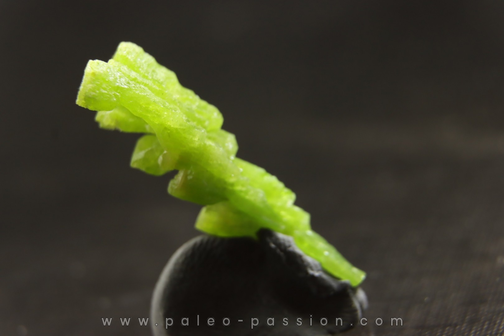 Pyromorphite - mine Daoping, guangxi province, CHINE