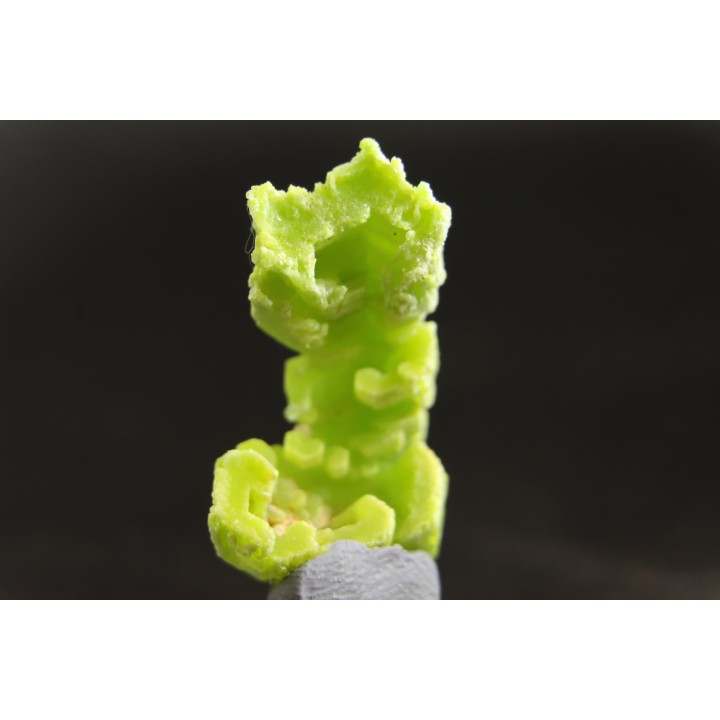 Pyromorphite  - mine Daoping, guangxi province, CHINA