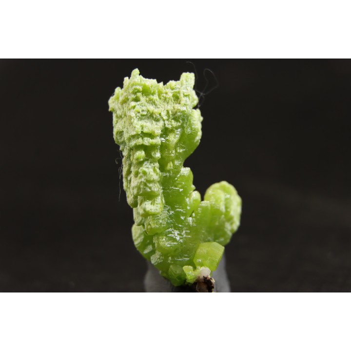 Pyromorphite  - mine Daoping, guangxi province, CHINE