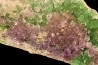 AMETHYSTE WITH GREEN FLUORITE  Nancy Hanks Claim  Mesa Co., Colorado -USA
