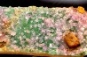 AMETHYSTE WITH GREEN FLUORITE  Nancy Hanks Claim  Mesa Co., Colorado -USA