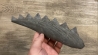 shark teeth: EDESTUS HEINRICHI