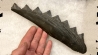 shark teeth: EDESTUS HEINRICHI