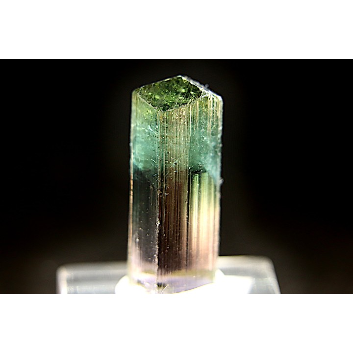 Tourmaline Elbaïte - green/pink - Lavra de Sapo, Ferruginha, Minas Gerais,  Brasil