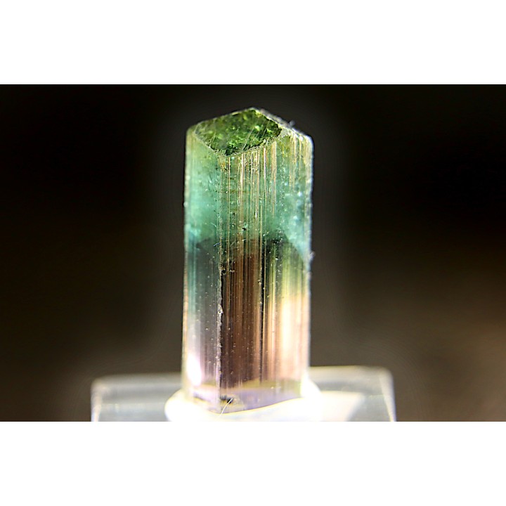 Tourmaline Elbaïte rose et verte - Lavra de Sapo, Ferruginha, Minas Gerais – Brésil