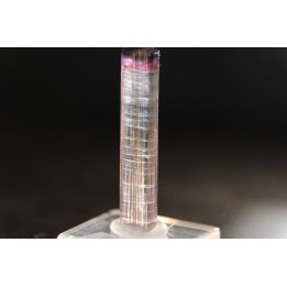 Tourmaline Elbaïte rose - Cruzeiro mine, Minas Gerais – Brésil