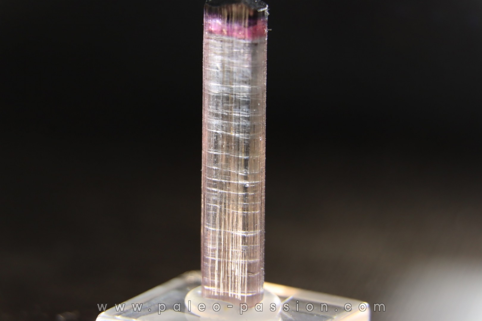 Tourmaline Elbaïte rose - Cruzeiro mine, Minas Gerais – Brésil