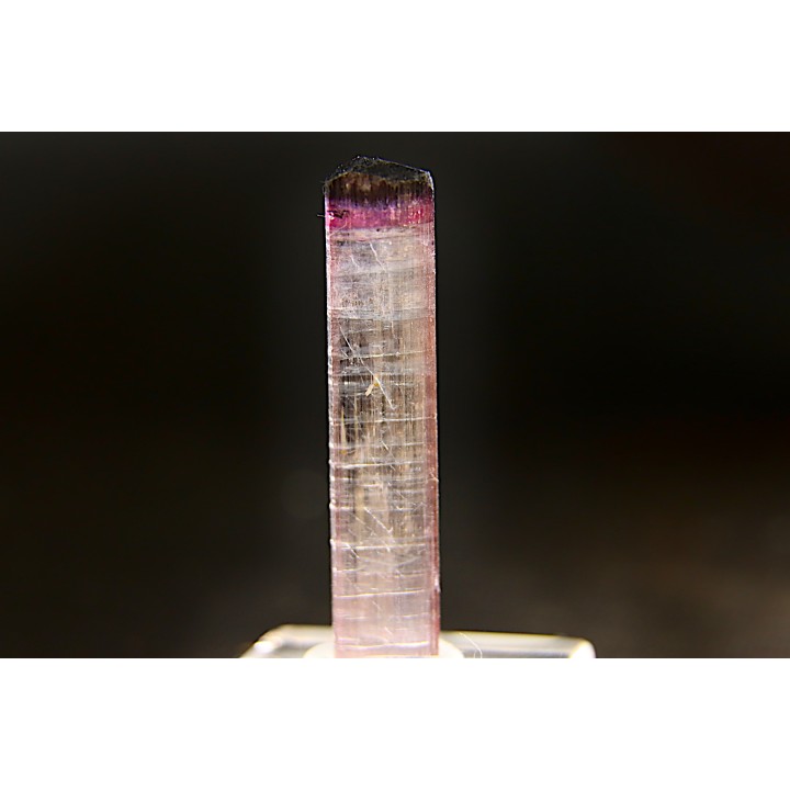 Tourmaline Elbaïte pink - Cruzeiro mine, Minas Gerais,  Brasil