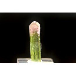 Tourmaline Elbaïte green and pink - Cruzeiro mine, Minas Gerais,  Brasil