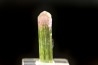 Tourmaline Elbaïte verte et rose - Cruzeiro mine, Minas Gerais – Brésil