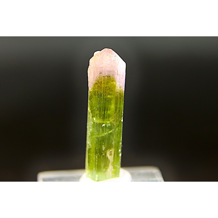 Tourmaline Elbaïte verte et rose - Cruzeiro mine, Minas Gerais – Brésil