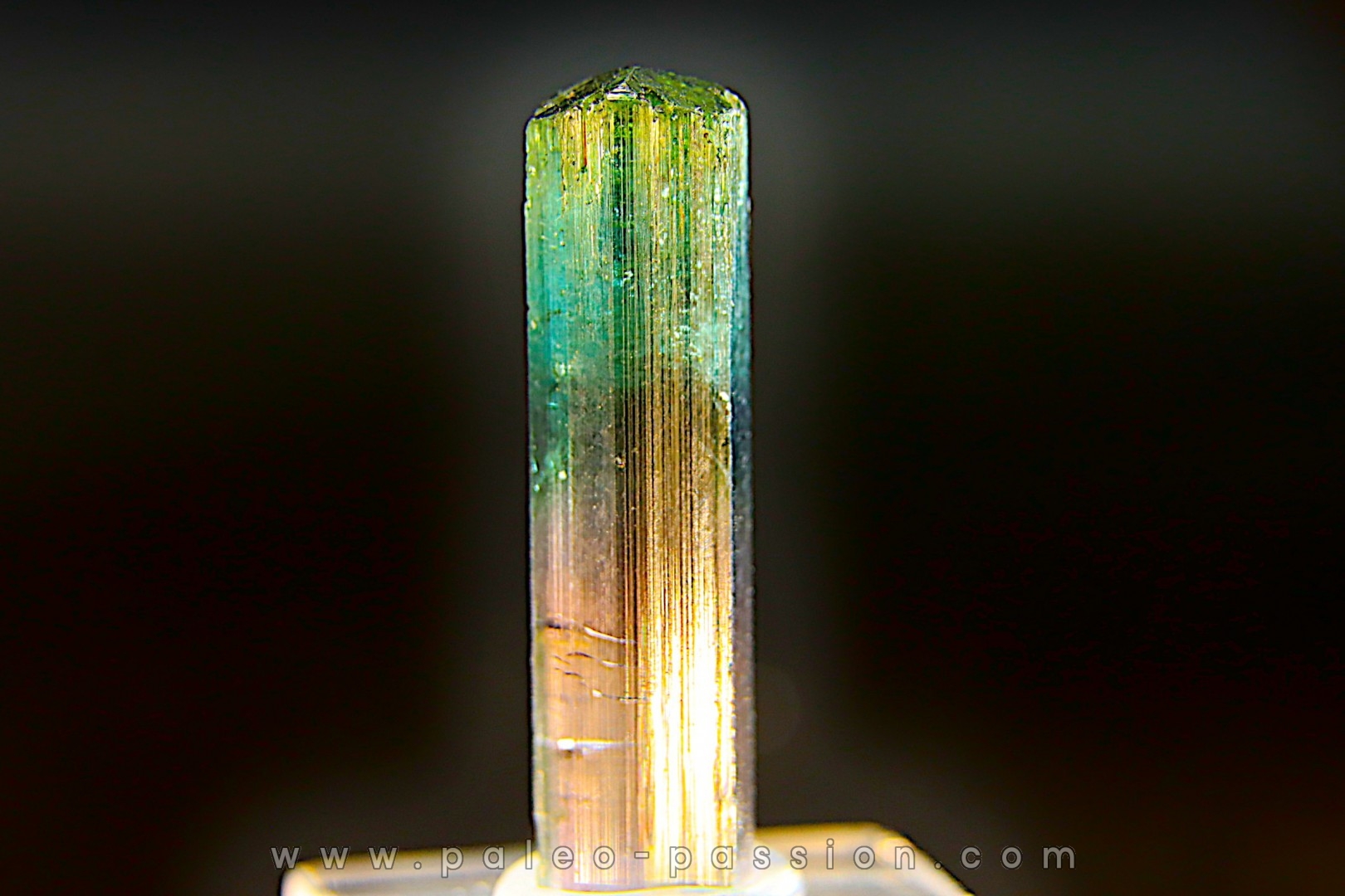 Tourmaline Elbaïte green and pink - Cruzeiro mine, Minas Gerais, Brasil