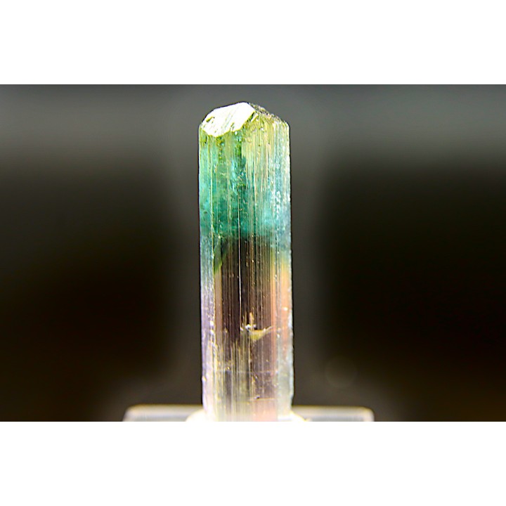 Tourmaline Elbaïte green and pink - Cruzeiro mine, Minas Gerais,  Brasil