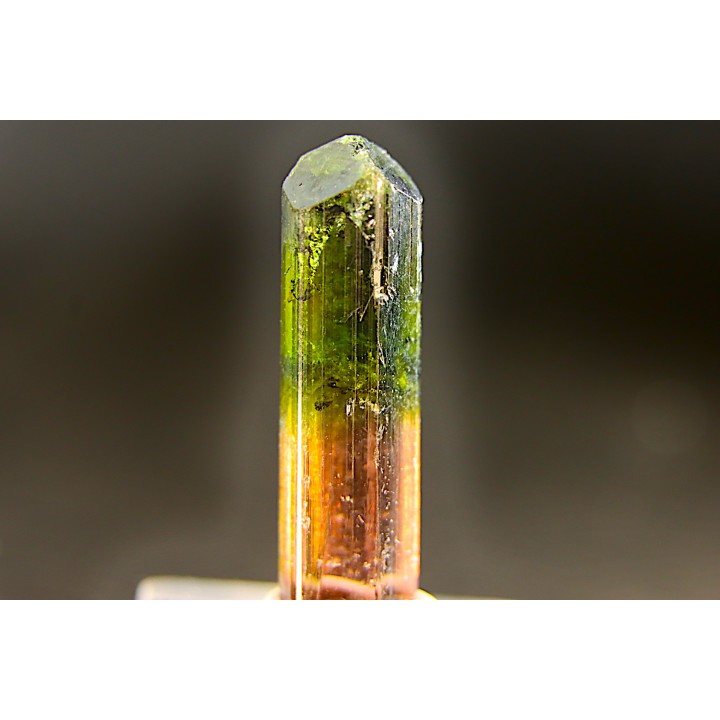 Tourmaline Elbaïte green and pink - Cruzeiro mine, Minas Gerais,  Brasil