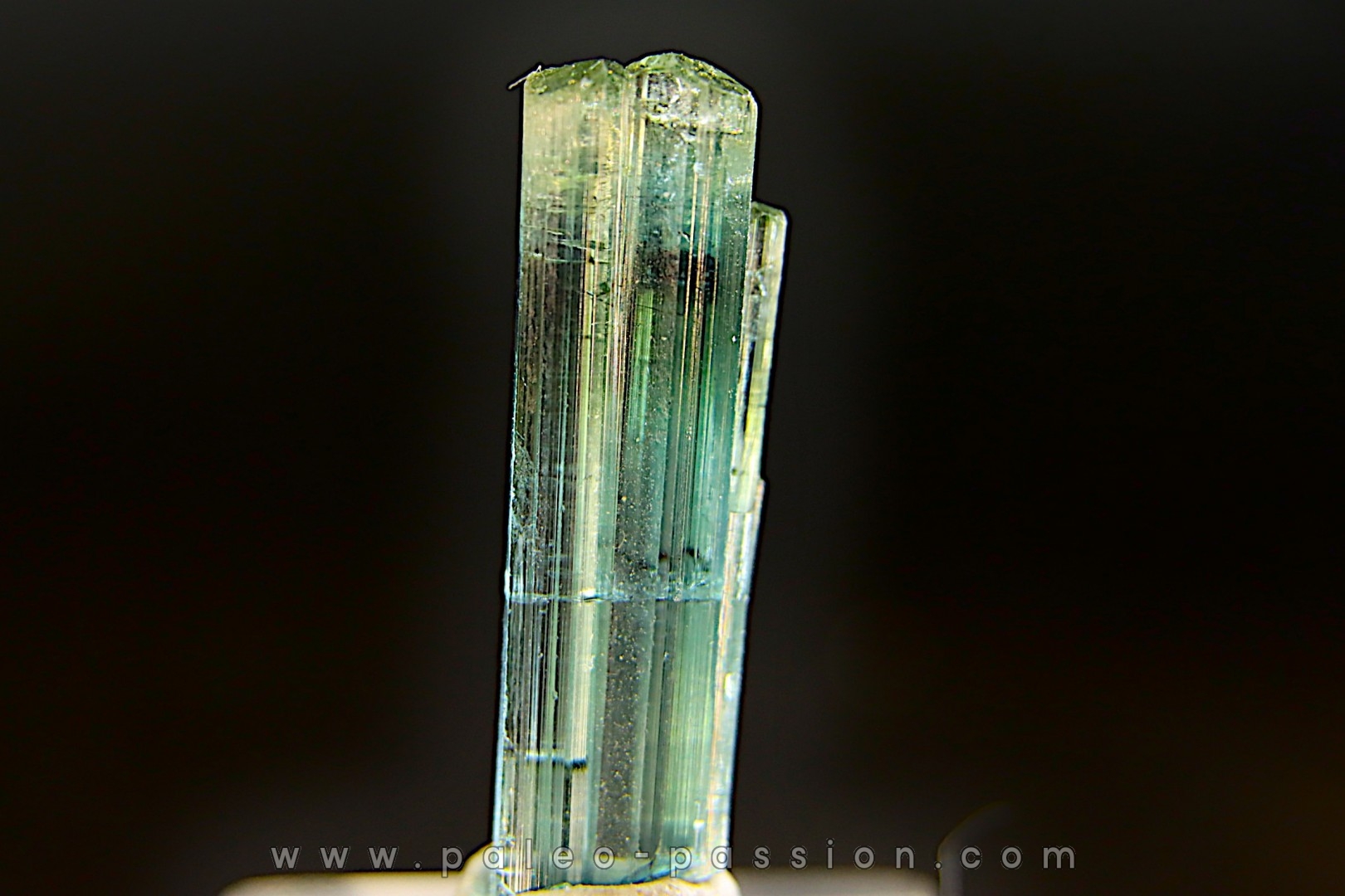 Tourmaline Elbaïte indigolite - Lavra de Sapo, Ferruginha, Minas Gerais – Brésil