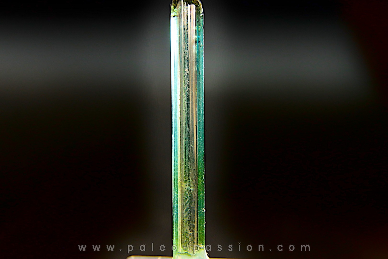 Tourmaline Elbaïte green and blue - Cruzeiro mine, Minas Gerais, Brasil